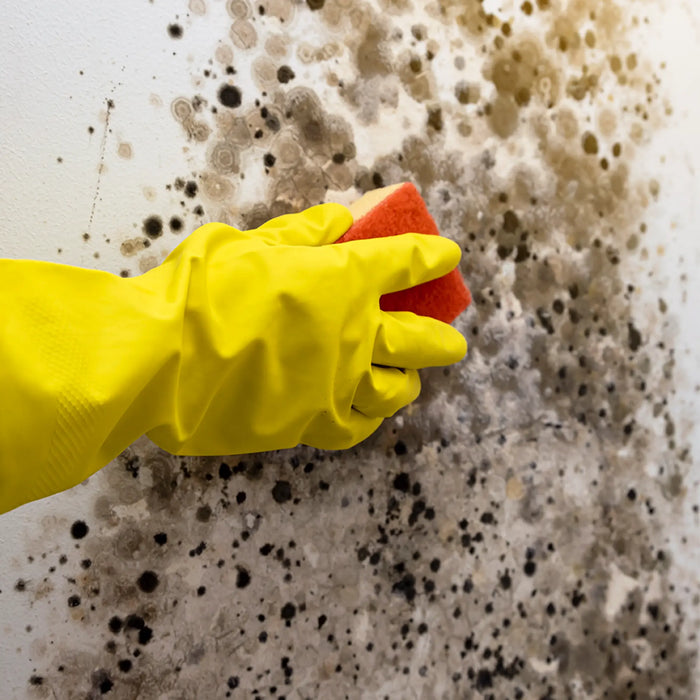 Uncle Sam's-Lift Off Heavy Duty Spot Remover